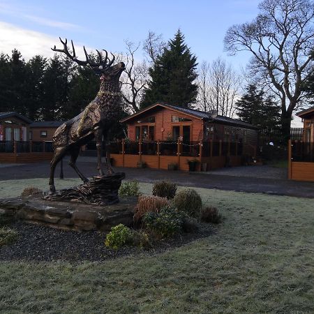12 Burnside Lodge Auchterarder Kültér fotó