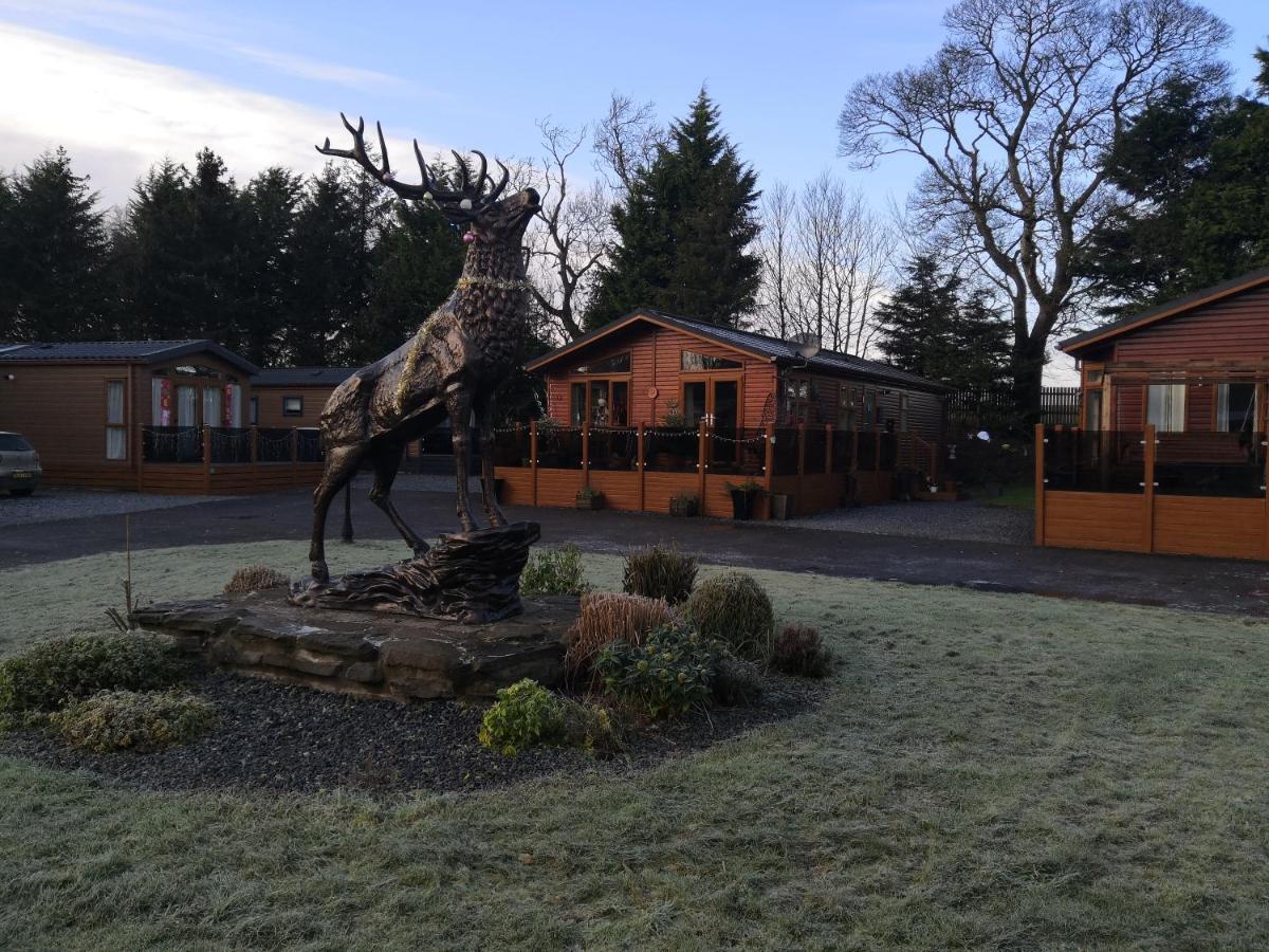12 Burnside Lodge Auchterarder Kültér fotó